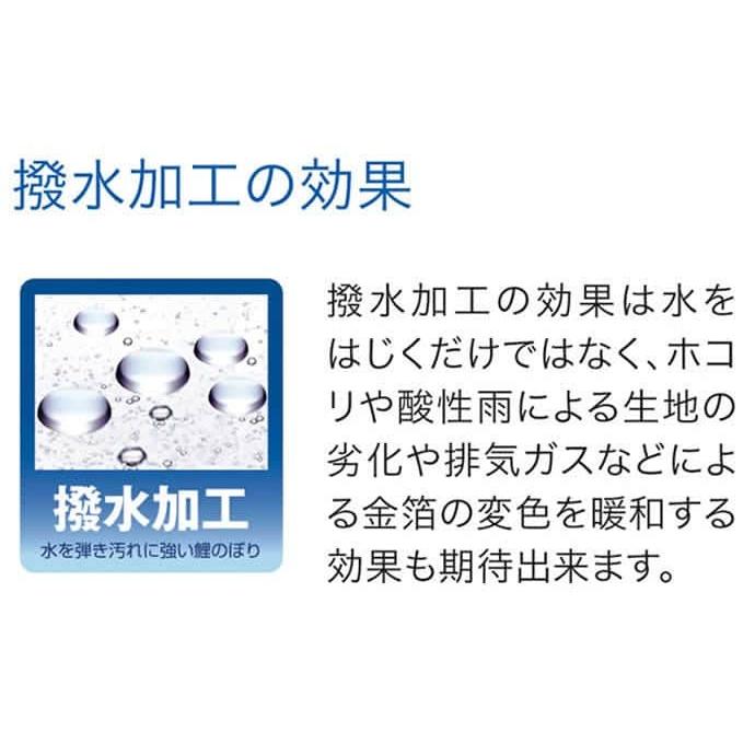 こいのぼり 旭天竜 鯉のぼり 庭園用 4m6点セット 新薫風 撥水加工 家紋・名前入れ可能 m-skunpu-4m-6