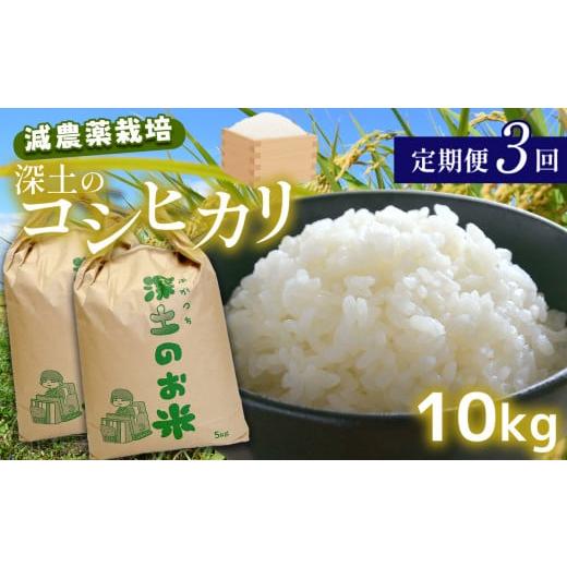 ふるさと納税 山口県 美祢市 定期便3回 深土の特別米コシヒカリ 10kg×3(2ヶ月毎×3回) 減農薬