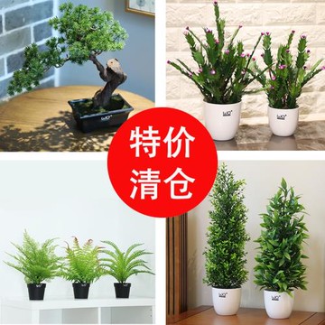 5折清倉 數量有限！仿真花綠植盆栽桌面花藝擺件電腦桌書桌裝飾花