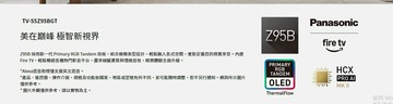 (`不含視訊盒)TV-55Z95BGT