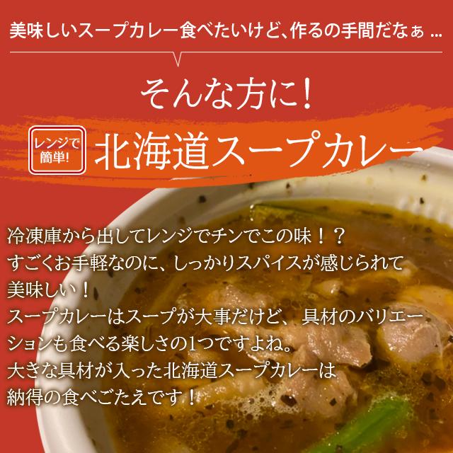 お歳暮 スープカレー ギフト 送料無料 電子レンジで簡単調理 北海道スープカレーセット（4個入）   御歳暮 冬ギフト 惣菜 レトルト カレー 内祝い