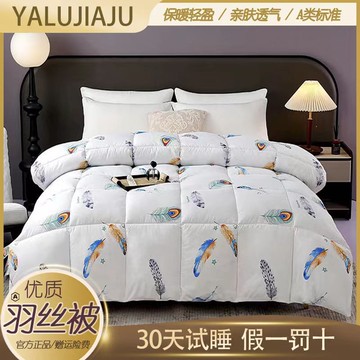 【直播供貨】2024新款加厚保暖冬被棉被200cmX230cm6斤一件代發