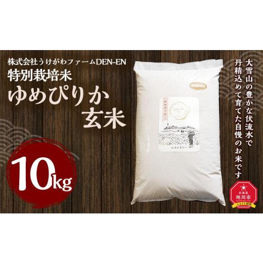 ふるさと納税 北海道 旭川市 特別栽培米　ゆめぴりか玄米　10kg　令和5年産　新米