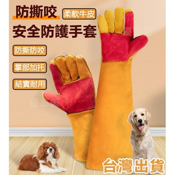 免運隔日達 台灣12h出貨 防咬手套 寵物手套 防撕拉手套 防咬手套 寵物防咬手套 防抓咬手套 寵物手套 貓咪防抓手套