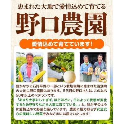 ふるさと納税 当別町 野口農園玄米お米セット10kg「ななつぼし・おぼろづき」