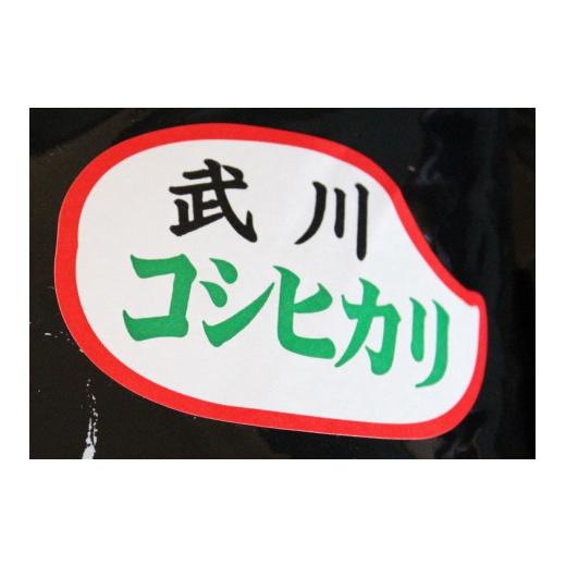 ふるさと納税 山梨県 北杜市 JA梨北米（精米）　５ｋｇ