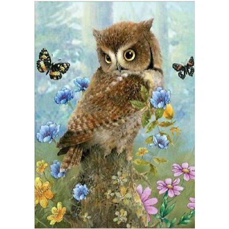 New 5D Diamond Painting Kits for Adults Kids, Awesocrafts Cute Owl Butterfly Blue Flowers Full Drill DIY Diamond Art Embroidery Paint by Numbers with