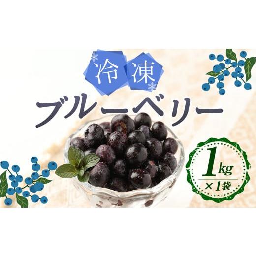 ふるさと納税 大分県 九重町 九重町産 冷凍 ブルーベリー 1kg (1kg ×1袋)  農薬不使用 果物