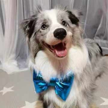 【iC原創】熒光色鐳射蝴蝶結