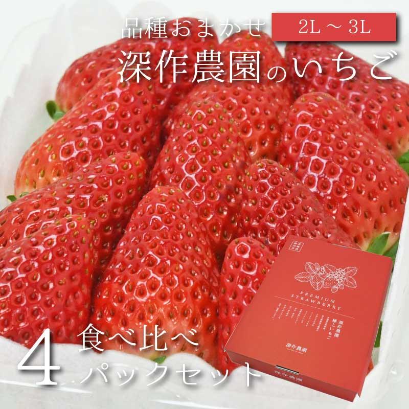 いちご イチゴ 苺 果物 ギフト 旬 フルーツ おすすめ2品種 プレミアムパック2L〜3L×4パック