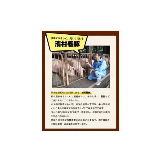 ふるさと納税 熊本県 御船町 食べ比べしゃぶしゃぶセット 清村養豚《60日以内に順次出荷(土日祝除く)》 豚 肉 冷凍 小分け 熊本県御船町