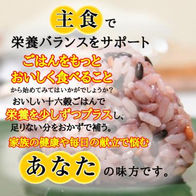 ふるさと納税 南魚沼市 南魚沼産コシヒカリと国産十六雑穀米のセット　精米4kg 450g