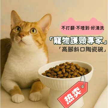 😺防打翻護頸 陶瓷食器😺貓碗 寵物護頸碗 高腳斜口陶瓷盆 防滑防潑灑 貓咪護頸碗 狗狗護頸碗 雙碗食盆 寵物慢食碗