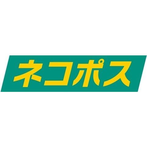 マツコの知らない世界 紹介 手のべ陣川そば 3袋 ネコポス 配送 長崎 島原 手延べ 手のべ陣川 麺匠 乾麺 そば