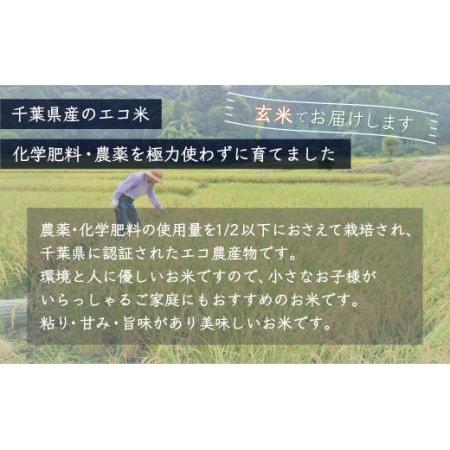 ふるさと納税 ＜3ヶ月定期便＞千葉県産エコ米「コシヒカリ」玄米5kg×3ヶ月連続 計15kg 千葉県大網白里市