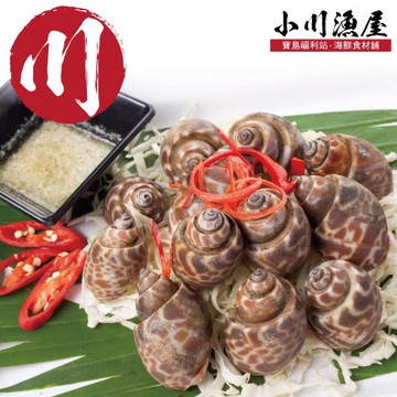 【小川漁屋】嚴選活凍鳳螺8包(500g/包)