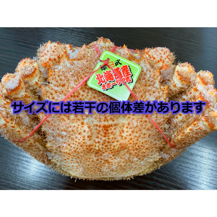 毛ガニ 北海道産 約400g×3尾入り ボイル済 送料無料 ギフト 毛がに カニ かに 蟹