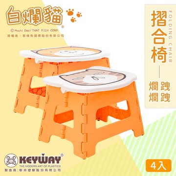 dayneeds 白爛貓摺合椅(4入組)
