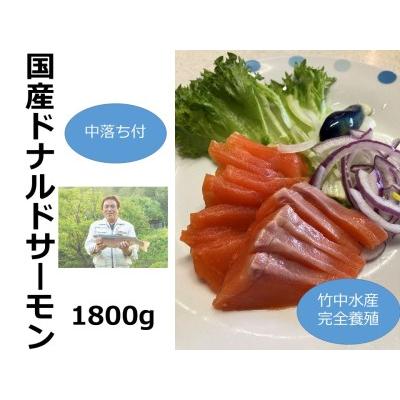 ふるさと納税 北海道　国産ドナルドサーモン(生食用)　中落ち付1800g 北海道池田町