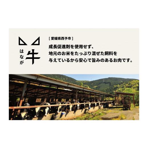 ふるさと納税 愛媛県 西予市 熟成肉 はなが牛ロースステーキ