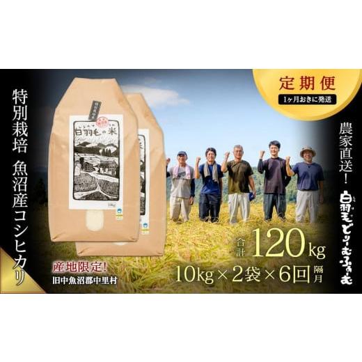 ふるさと納税 新潟県 十日町市 ≪令和5年産≫農家直送！魚沼産コシヒカリ特別栽培「白羽毛の米」精米(10kg×2袋)×6回…