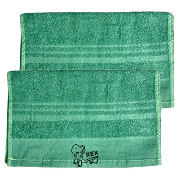 Disney 迪士尼 Rex 美國棉毛巾2件組 綠色 超柔軟吸水面巾  1組