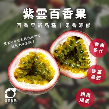 11月天蠍座【熱銷新品生日禮】｜紫雲百香果｜爆甜無酸 × 果香濃郁 × 新品種改良｜全台宅配【微笑甜果】