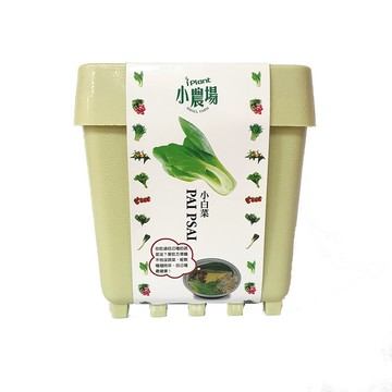 iPlant 積木小農場-小白菜