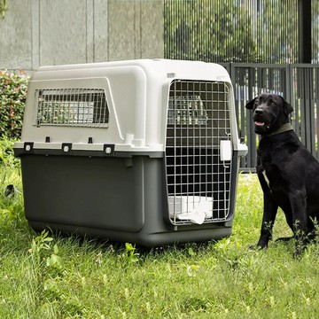 自動餵食器 智能餵食器 定時餵食器 狗狗餵食器 貓咪餵食器寵物航空箱貓咪專用狗狗國航空運托運箱便捷車載透氣外出拉桿箱