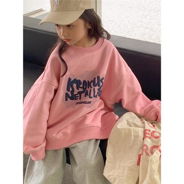 女童衛衣春秋款2026新款秋裝兒童女大童寬松洋氣圓領長袖秋季上衣