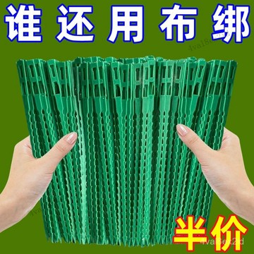 🚚台灣出貨可調節 魚骨紮帶 捆綁綫 多用途園林綁樹藤蔓植物固定園藝可拆卸紮綫 XJJZ