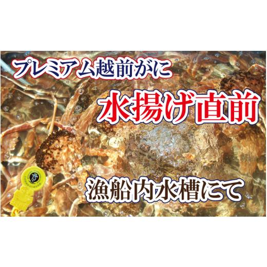 ふるさと納税 福井県 越前町 [e37-x010_03b] 越前がに × 1杯（一番蟹）桐箱入り！越前国の主！越前がにの象徴【雄 ズワイガニ かに カニ 蟹 姿 生 ボイル 冷…