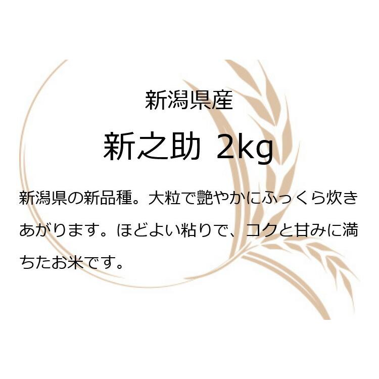 お米 ギフト 米 2kg 新之助 新潟県産 2キロ 令和5年産 新米 精米 食べ物 白米 分づき米 新潟県産新之助2ｋｇ 食品 入学内祝い 引っ越し 挨拶 名入れ プレゼント