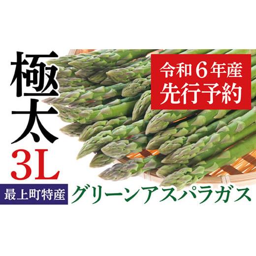 ふるさと納税 山形県 最上町 JA最上町特産グリーンアスパラ３Lサイズ１kg