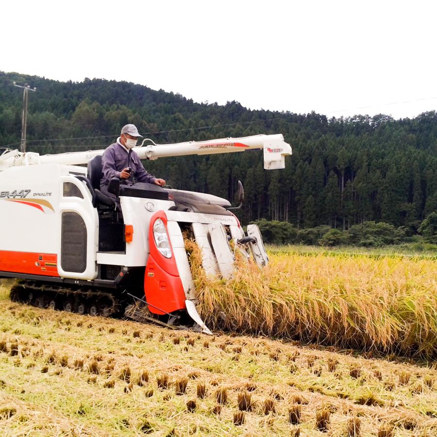 新潟産こしひかり 5kg