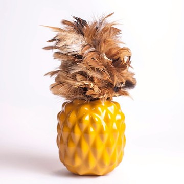 【Hands】鳳梨好彩頭-旺旺