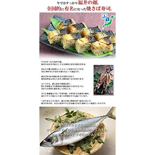 甲羅組 福井名物 焼さば寿司 3本 三人前 鯖