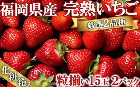 いただきいちご園の食べ比べ 厳選2品種 粒ぞろいの15玉入り