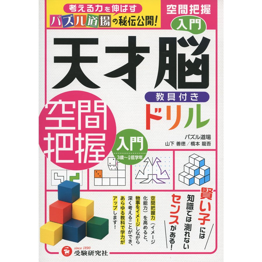 天才脳教具付きドリル空間把握 パズル道場の秘伝公開 入門