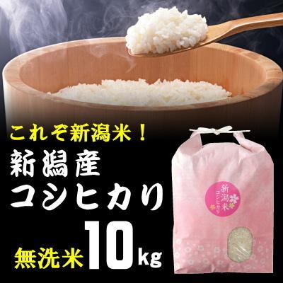 無洗米 棚田米 新潟産コシヒカリ 10kg  米 お米   高級銘柄米 新潟県産 令和5年産 新米   奥胎内 棚田 山麓米 雪解けの水 送料無料