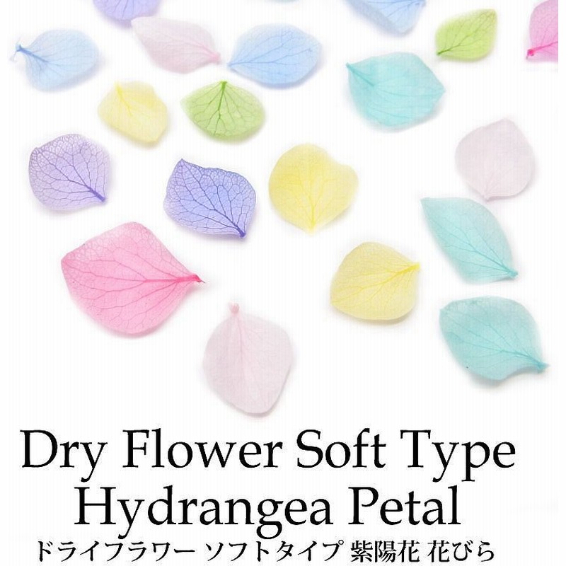 ドライフラワー ソフトタイプ 紫陽花 花びら 各種 10枚入り 11 21 押し花 アジサイ あじさい ネイル パーツ フラワー ジェル アート レジン 封入 材料 植物 花びら 梅雨 夏 通販 Lineポイント最大get Lineショッピング