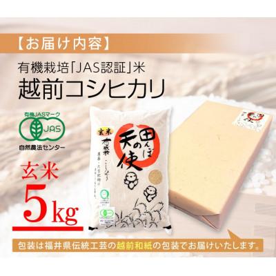 ふるさと納税 越前町  越前コシヒカリ 5kg 令和5年産 新米 福井県産