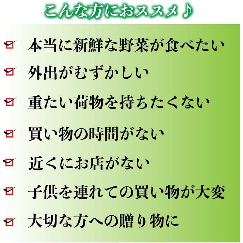 九州 新鮮野菜 8品以上 おまけ4?7品付き 野菜セット 野菜詰め合わせ 九州の市場から直送九州野菜8品