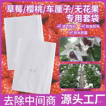 臺灣熱賣🔥草莓專用套袋櫻桃套袋防蟲防鳥防水防病蠟紙袋無花果車釐子紙套袋 JRSB