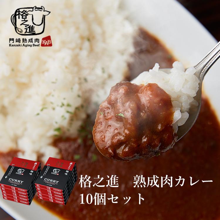 ビーフカレー 和牛 国産 黒毛和牛 レトルト ギフト 格之進 門崎 熟成肉カレー 10個セット 1袋 160g