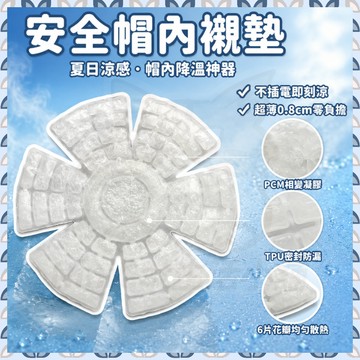 【可接急單 隔日到貨】安全帽內襯墊 安全帽內襯 安全帽內墊 安全帽涼感內襯