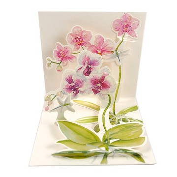 TRK小卡-蘭花與蜻蜓【Up With Paper-立體卡片 多用途】