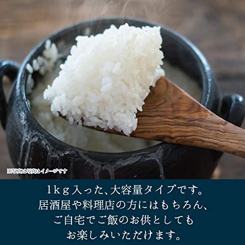 イカ いか しおから 大容量 珍味 おつまみ しいの食品 いか塩辛 業務用 1kg