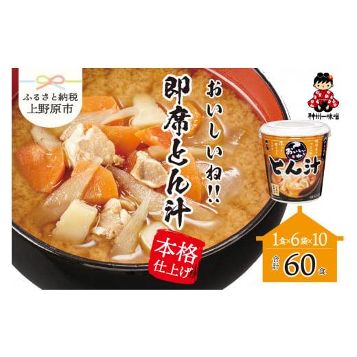 ふるさと納税 山梨県 上野原市 （WR73）神州一味噌 おいしいね！！ とん汁 60食(1食×6個×10）