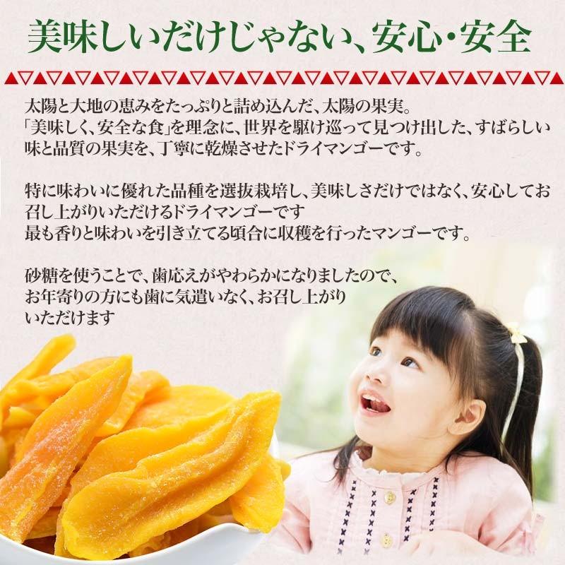 ドライ マンゴー 800g×1袋 カンボジア産 ドライマンゴー メール便限定 送料無料 砂糖使用